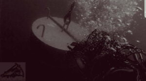 Diving contractor company Role in Advancing Maritime Discoveries